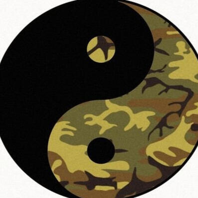 ZEN FORCE