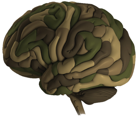 PTSD (Post Traumatic Stress Disorder)